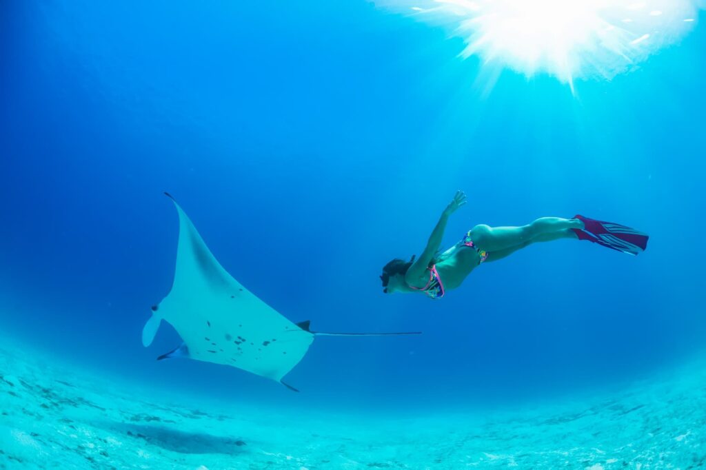 Komodo Tours 3 Days 2 Nights