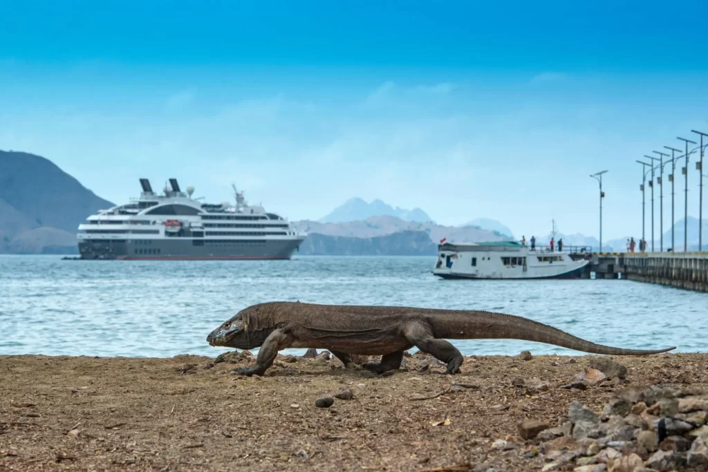 Komodo Cruise Handling