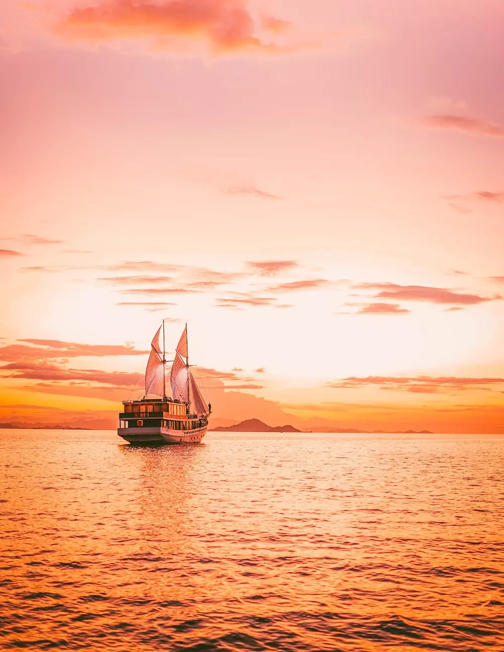 Elbark cruise drone sunset